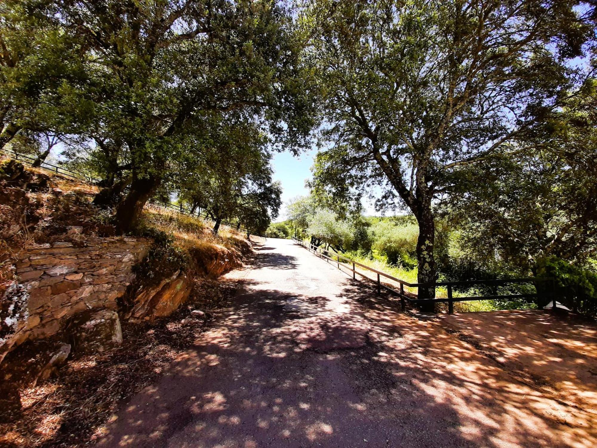 Casa Rural Gurumelo Aracena Exteriér fotografie