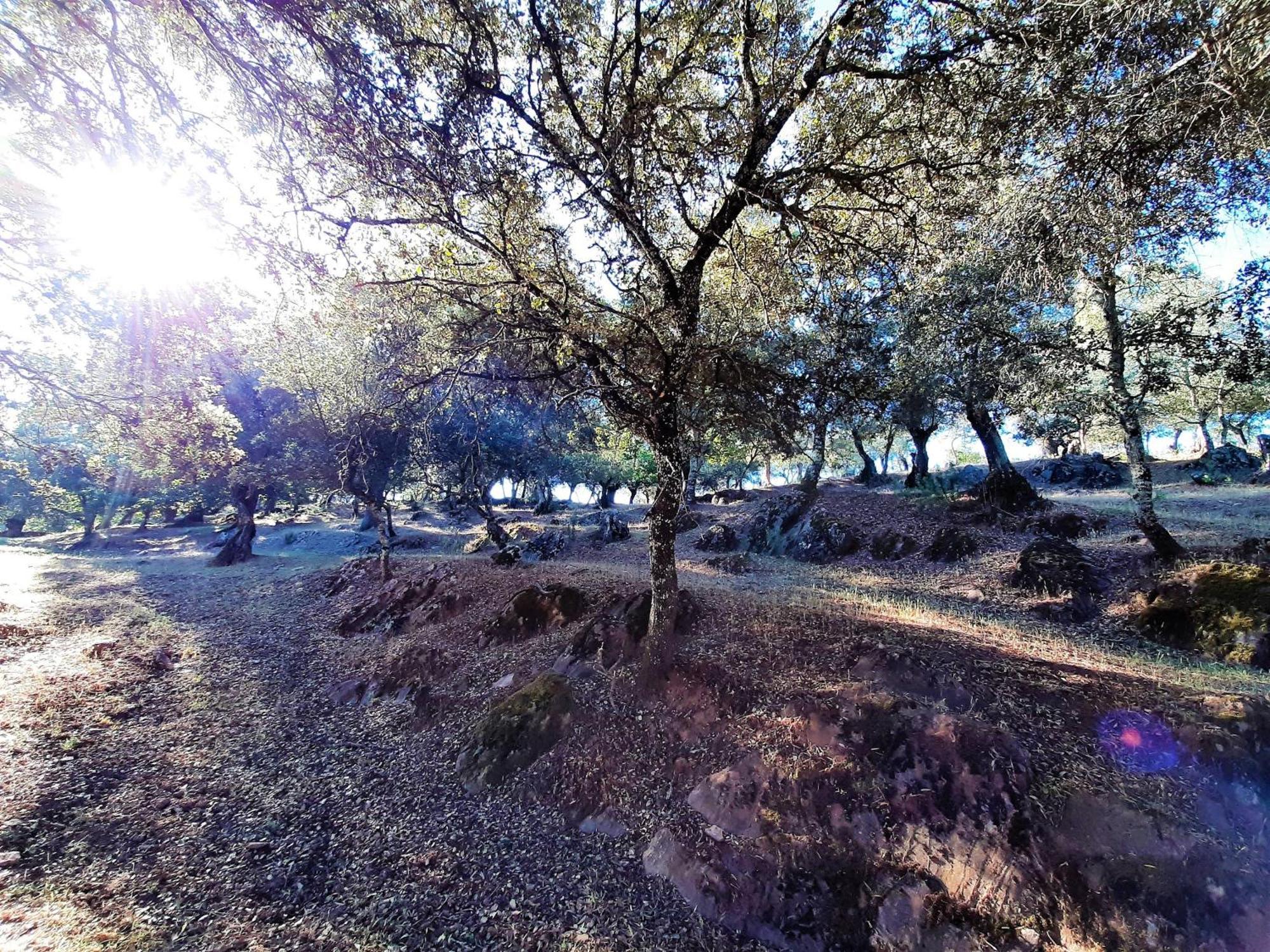 Casa Rural Gurumelo Aracena Exteriér fotografie